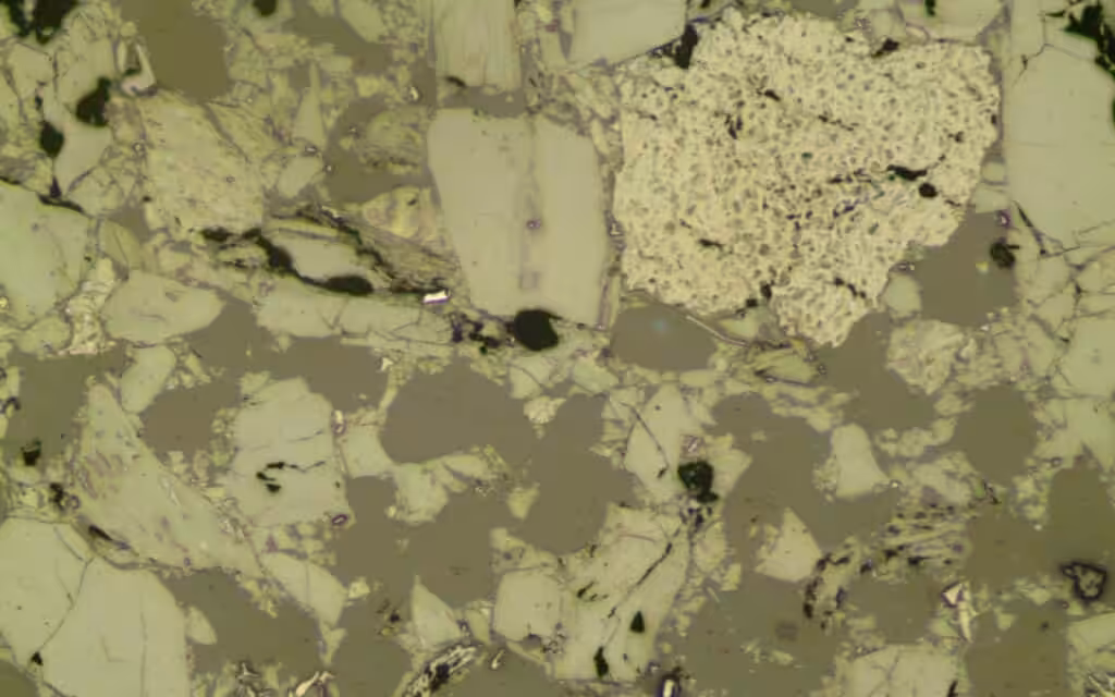 Coal