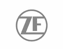zf.jpg